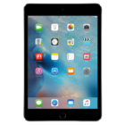 ipadmini4